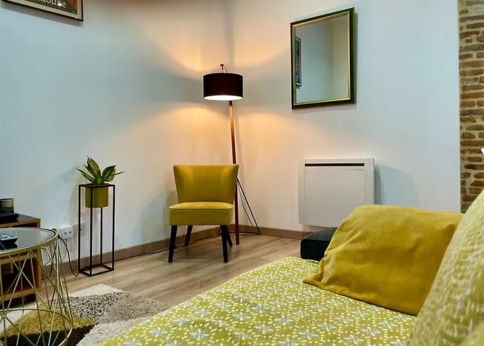 Capitole, Grand T1 Bis, Lumineux, Neuf. * Toulouse